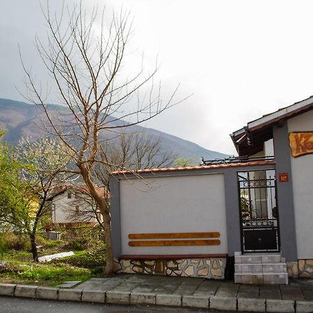Guesthouse Juli Saparewa Banja Exterior foto